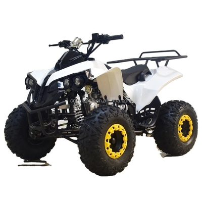 49cc 50cc 125cc Mini Quad Bike ATV movido a gás para crianças ou adultos Base de rodas 1000-1400mm