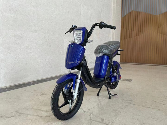 Bicicleta elétrica de ecrã LCD personalizado com funcionalidade simples assistida por energia