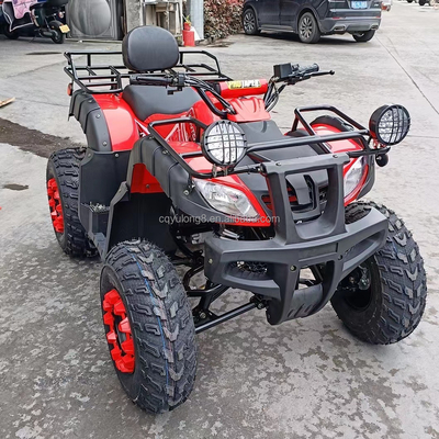 Electric Start 250cc Quad Bike com motor de 500W e design todo-o-terreno impulsionado por eixo