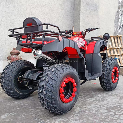 Electric Start 250cc Quad Bike com motor de 500W e design todo-o-terreno impulsionado por eixo