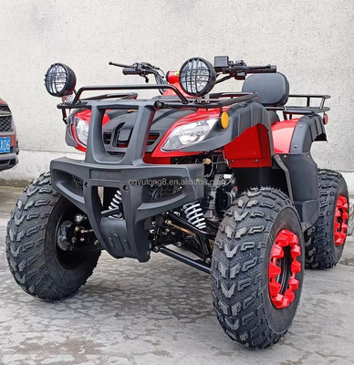 Electric Start 250cc Quad Bike com motor de 500W e design todo-o-terreno impulsionado por eixo