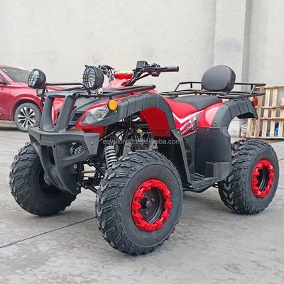 Electric Start 250cc Quad Bike com motor de 500W e design todo-o-terreno impulsionado por eixo