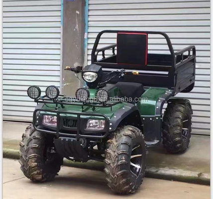 Off-road 250cc Farm Quad Bike com transmissão automática e bateria de 60V