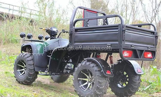 Off-road 250cc Farm Quad Bike com transmissão automática e bateria de 60V