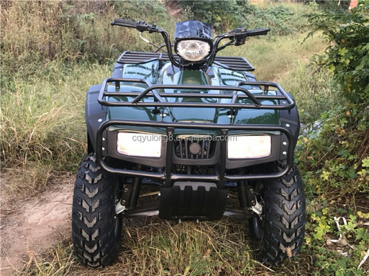 250CC-350CC Acionamento por eixo ATV adulto com tipo de condução 2WD e quilometragem de condução de 50-70km