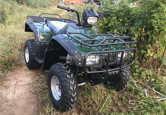 4x4 Buggy Motor ATV UTV 200cc para adultos Tipo de transmissão automática Velocidade máxima 80km/h
