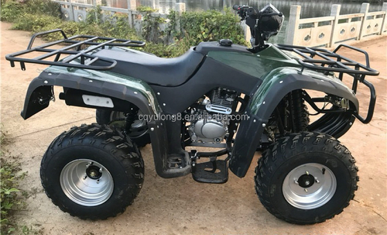 4x4 Buggy Motor ATV UTV 200cc para adultos Tipo de transmissão automática Velocidade máxima 80km/h