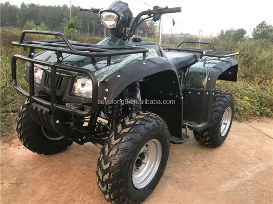 4x4 Buggy Motor ATV UTV 200cc para adultos Tipo de transmissão automática Velocidade máxima 80km/h