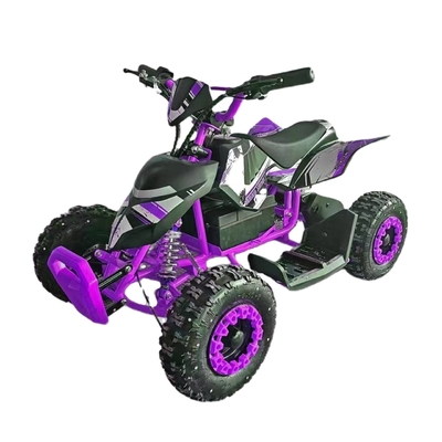 Descubra a emoção do nosso Mini Quad Buggy ATV 500W Electric ATV para crianças e adultos
