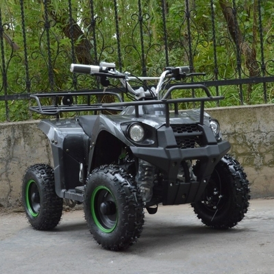 Mini ATV elétrico de 800w para crianças e adultos Pequeno ATV quadriciclo elétrico off-road