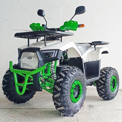 36V Mini Electric ATV Outdoor Quad para Crianças e Adultos 800W Shaft Drive Off-road Bike