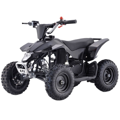 Veículos Esportivos Elétricos ATV Tipo de condução 2WD Tempo de carga h 3-5h para crianças e adultos