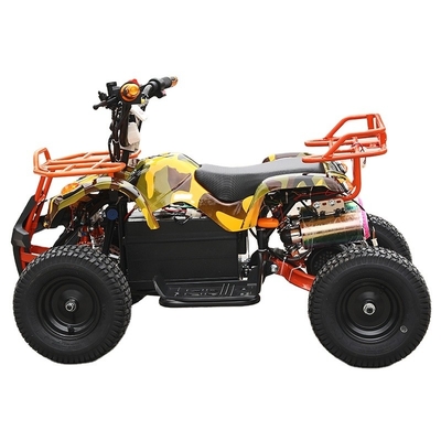 ATV elétrico 800W 1000w Quad Bike para crianças e adultos Condução Kilometragem 30-50km Voltagem 36V