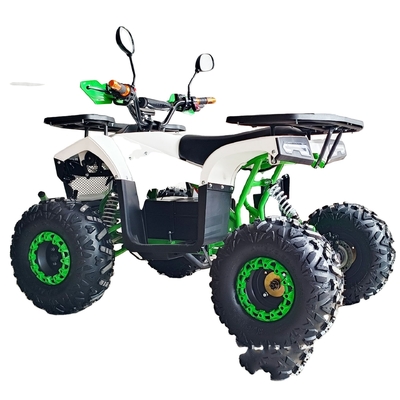 400-1000kg Capacidade de carga 800W 1000W Quad Bike Electric ATV para crianças e adultos