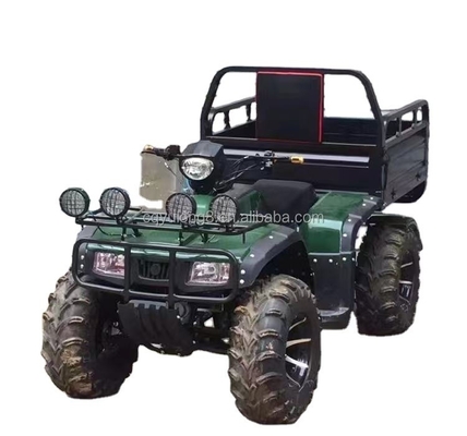 Out Road Four Wheel Motorcycle Cargo ATV UTV com capacidade de carga útil de 100-200kg