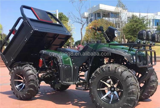 Out Road Four Wheel Motorcycle Cargo ATV UTV com capacidade de carga útil de 100-200kg