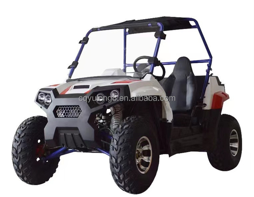 1 cilindro 1500W 2000W Side by Side Farm UTV elétrico com 2 assentos e bloqueio diferencial