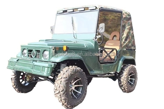 2 assentos para adultos 200cc 300cc Sistema de transmissão por eixo 2WD Quatro rodas Buggy Carro UTV 4x4 Jeeps