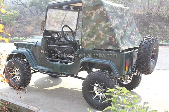 2 assentos para adultos 200cc 300cc Sistema de transmissão por eixo 2WD Quatro rodas Buggy Carro UTV 4x4 Jeeps