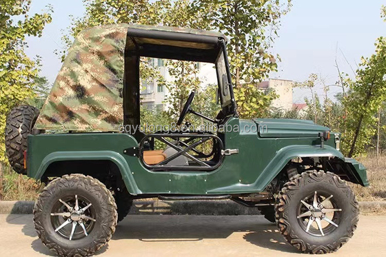 2 assentos para adultos 200cc 300cc Sistema de transmissão por eixo 2WD Quatro rodas Buggy Carro UTV 4x4 Jeeps