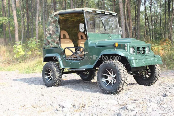 2 assentos para adultos 200cc 300cc Sistema de transmissão por eixo 2WD Quatro rodas Buggy Carro UTV 4x4 Jeeps