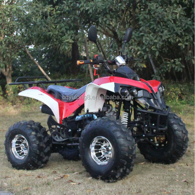 Veículo todoterreno adulto de 125 cc personalizável com motor natural arrefecido a ar