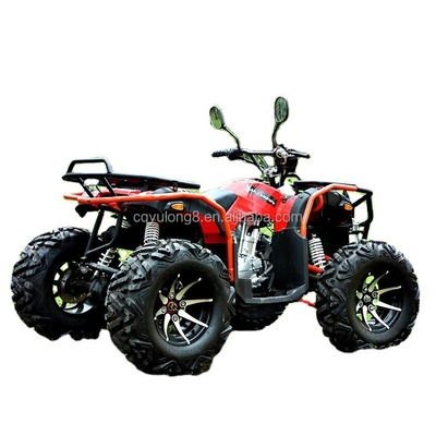 Personalize o seu passeio Big Bull 300cc 4*4 ATV adulto off-road com 300mm de distância do solo