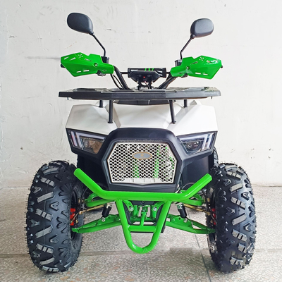 Experimente a potência do nosso ATV elétrico de 1000W de 4 rodas para adultos