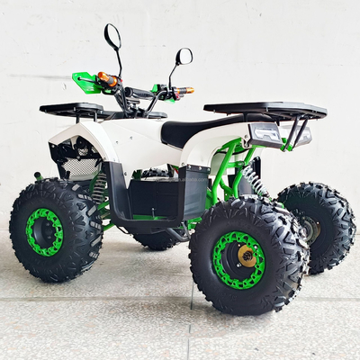 Experimente a potência do nosso ATV elétrico de 1000W de 4 rodas para adultos