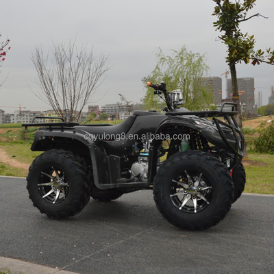 250cc Quatro-Taktos Quatro-Roda Off-Road ATV com Chain Drive e características de personalização