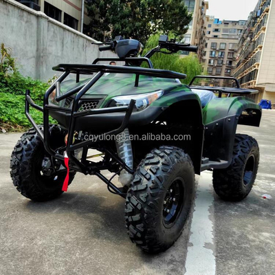250cc Quatro-Taktos Quatro-Roda Off-Road ATV com Chain Drive e características de personalização
