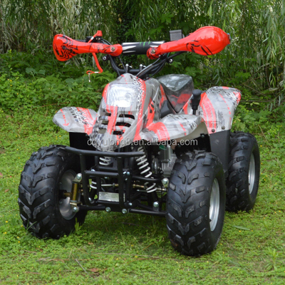 110cc Cadeia Rotativa Quatro Rodas ATV Torque máximo Nm 20-40Nm Kilometragem de condução 50-70km